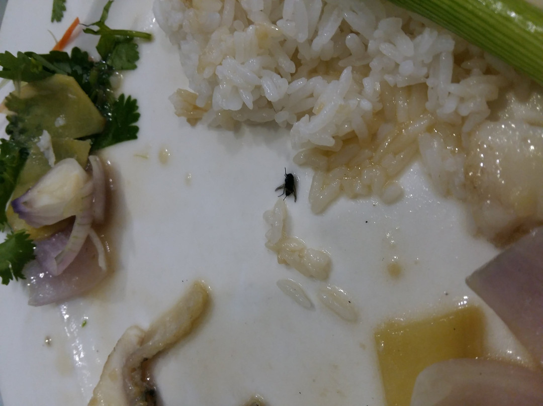 士乃餐馆和美食-Tea Garden Restaurant