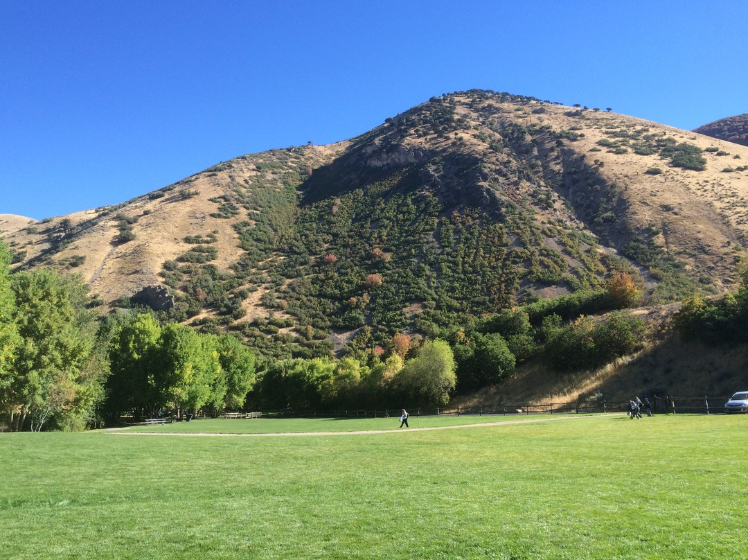 Big Springs Trail-普若佛必去景点