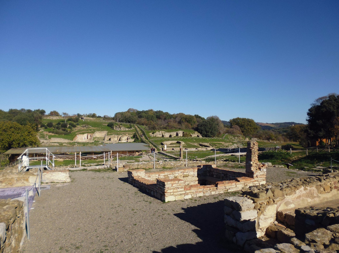 Area Archeologica di Roselle景点图片