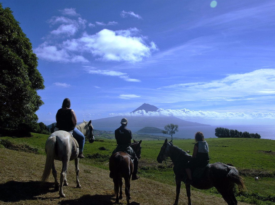 BELO CAMPO - Equitação景点图片