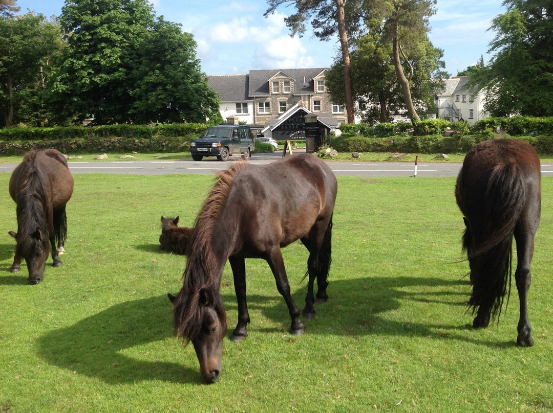 Widecombe in the Moor旅游攻略图片