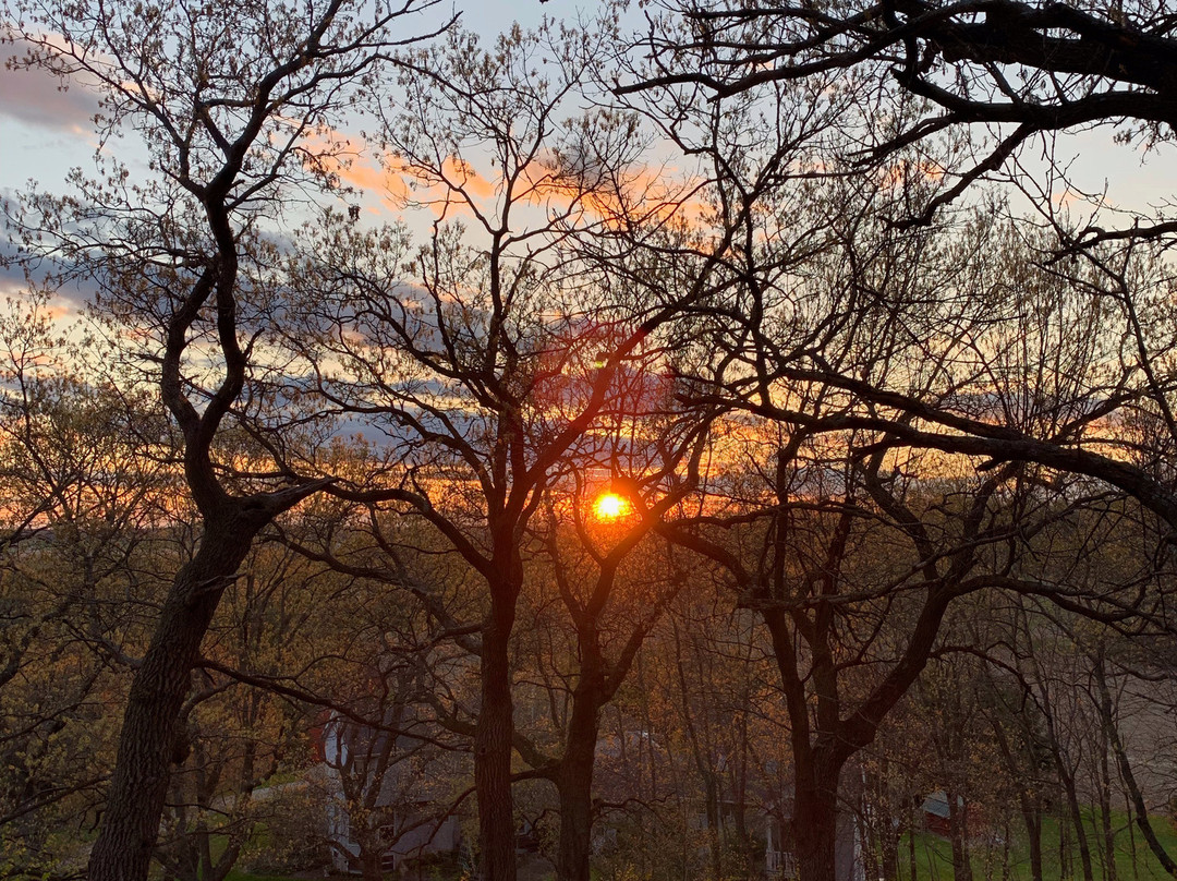 Cameo Rose Victorian Country Inn主图