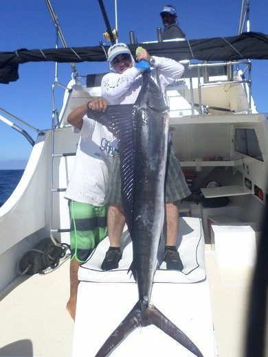 Marlin Alley-卡波圣卢卡斯必去景点