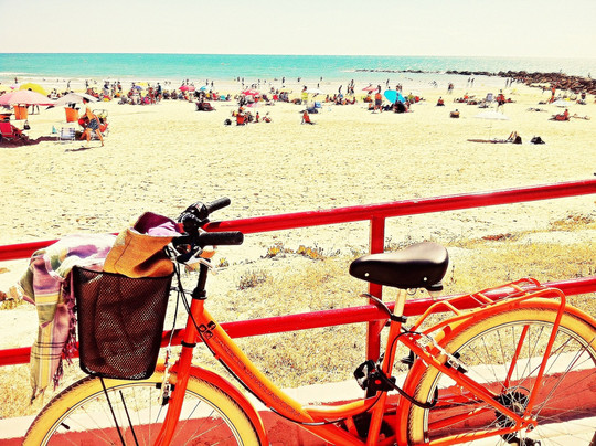 Las Bicis Naranjas-加的斯市必去景点