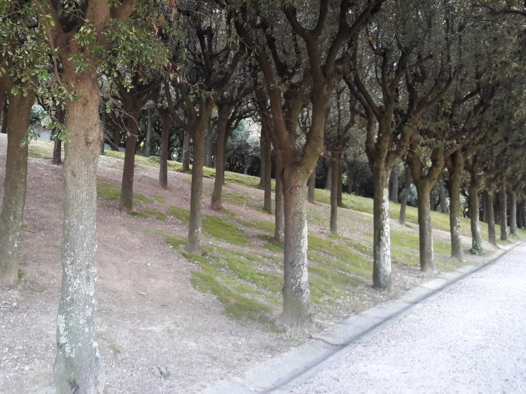 Parco della Rimembranza-费尔莫必去景点