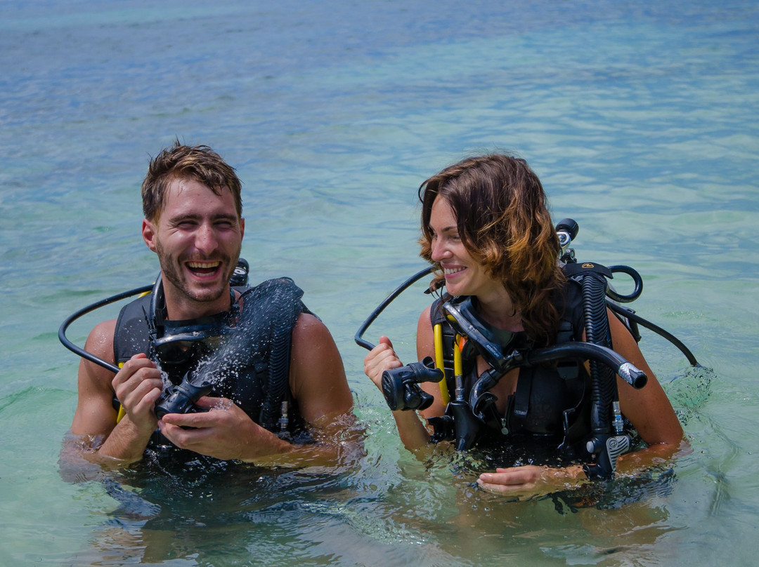 Bora Dive & Research景点图片
