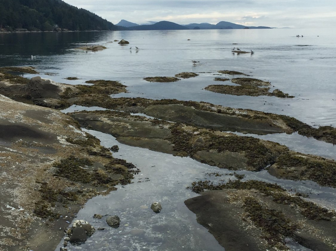 Four Winds Bed and Breakfast主图