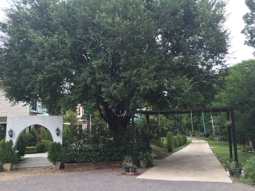 The Harmony Resort主图