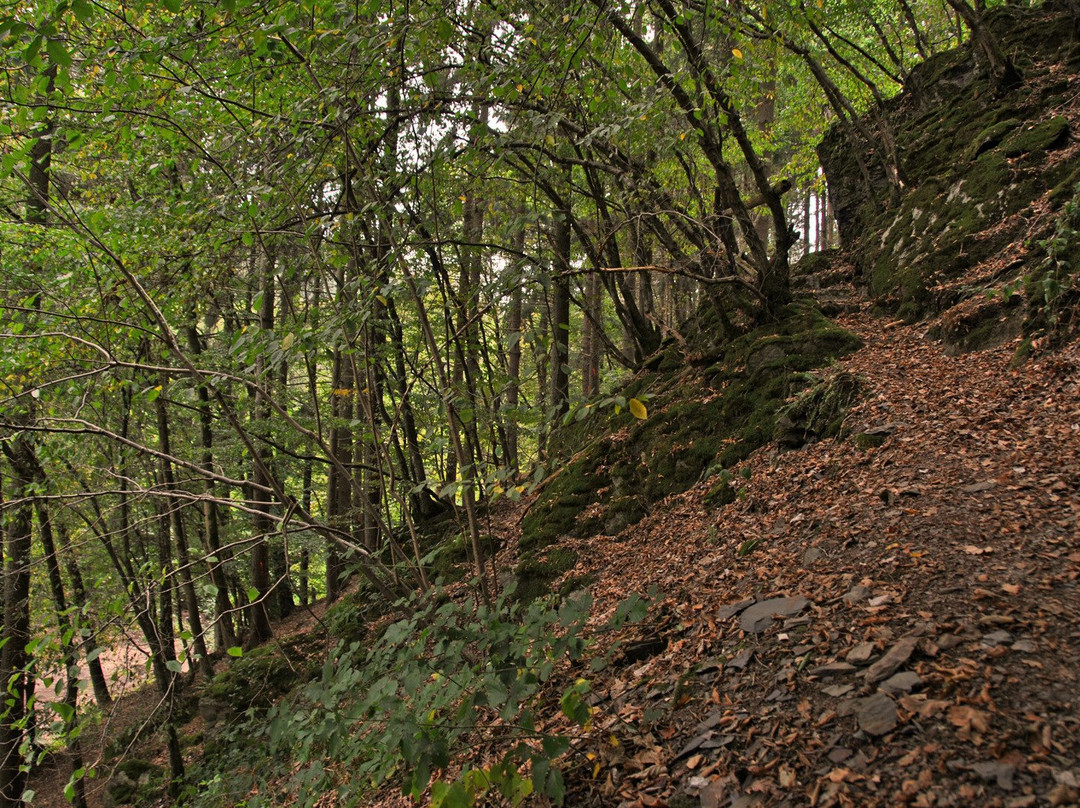 Circular Walk Clervaux-Clervaux必去景点