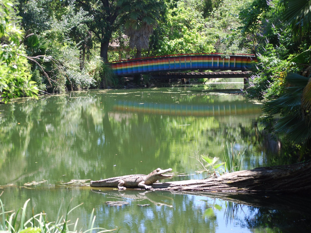 Pixie Woods - Louis Park-斯托克顿必去景点
