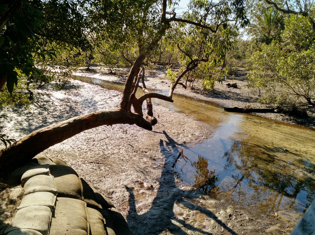 Myora Springs Conservation Area-North Stradbroke Island必去景点