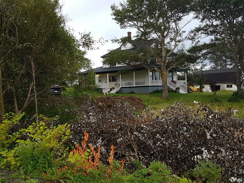 Dusky Diamonds Bed & Breakfast主图