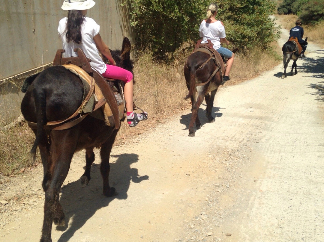 Kritiki Farma Donkey Tours-Potamies必去景点