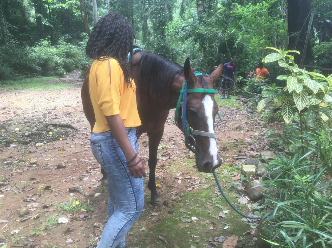 Funtastic Park Subic Bay-苏比克湾自由贸易区必去景点