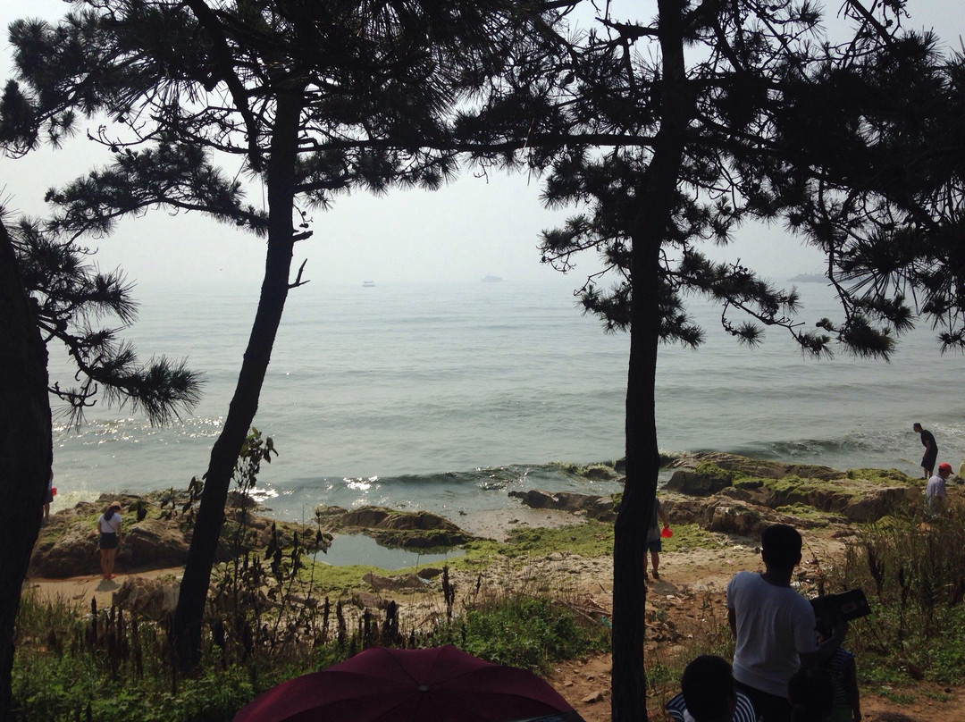 日照海滨森林公园-日照市必去景点