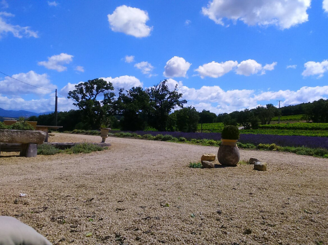 Domaine La Gontarde景点图片