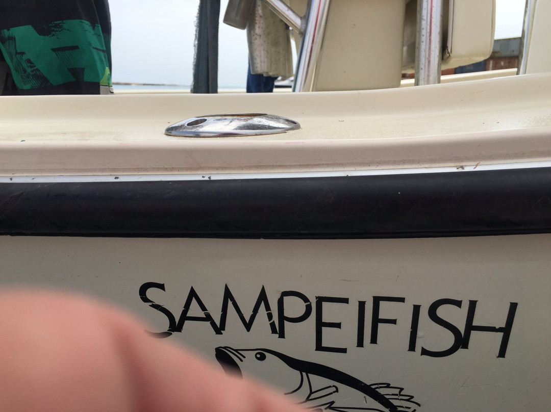 Sampeifish-博阿维斯塔必去景点