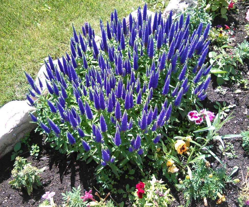 Our Lady of the Highway-韦格勒维尔必去景点