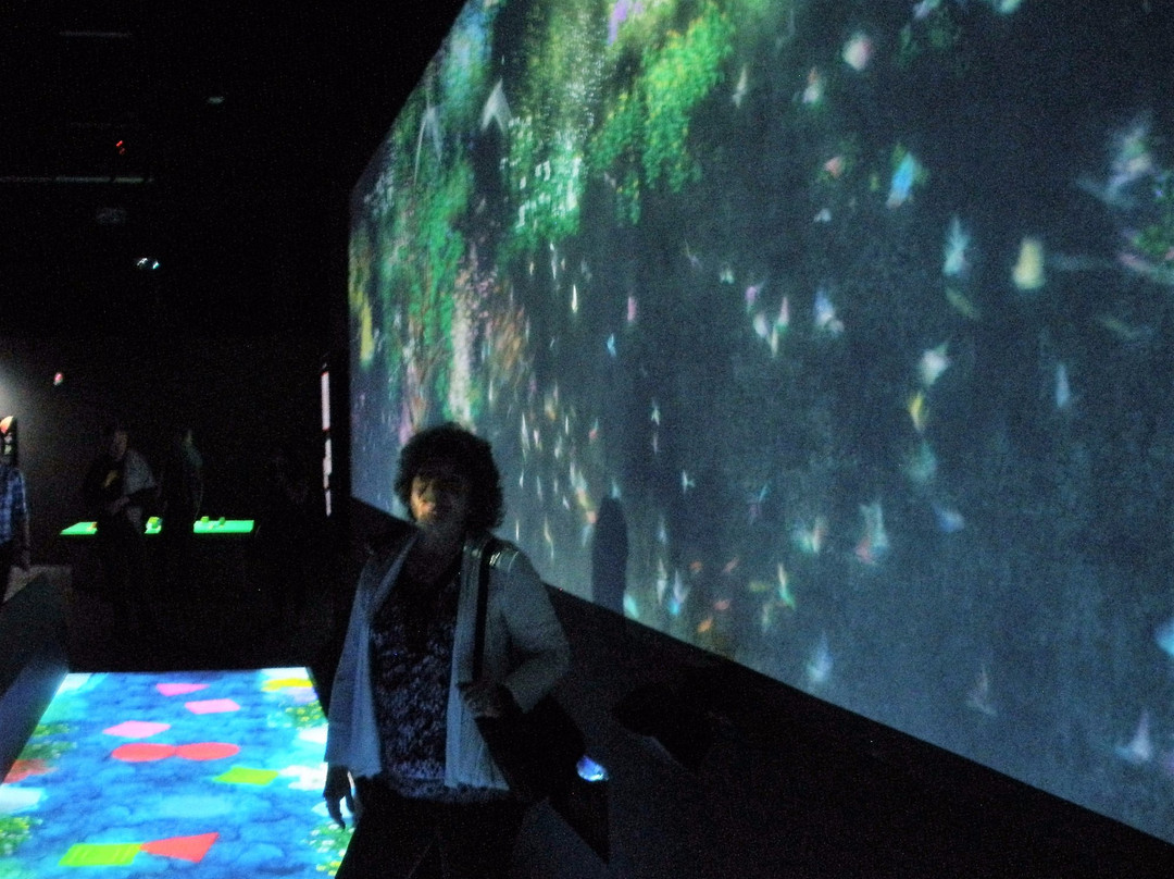 Pace Art and Technology-门洛帕克必去景点