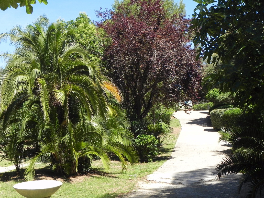 Parc Areca Jardin Botanique景点图片