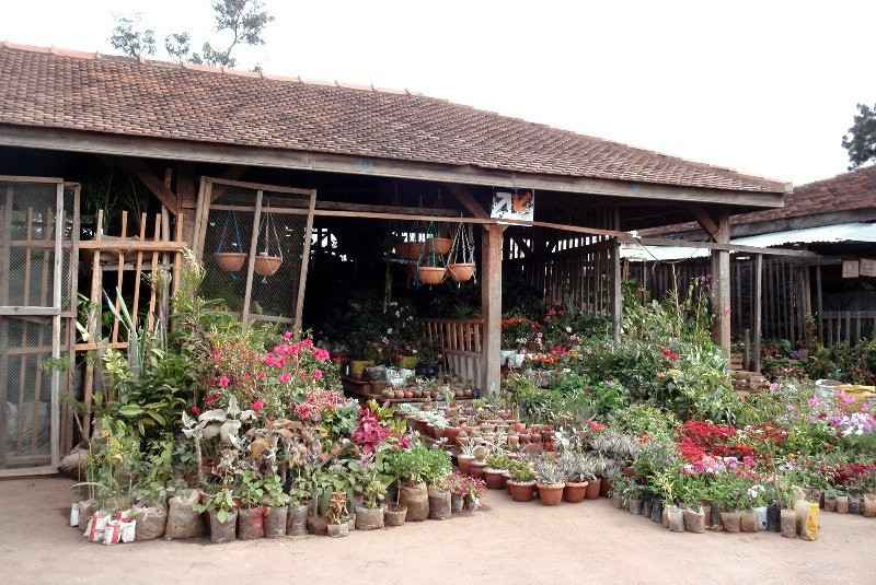 Antananarivo Flower Market景点图片