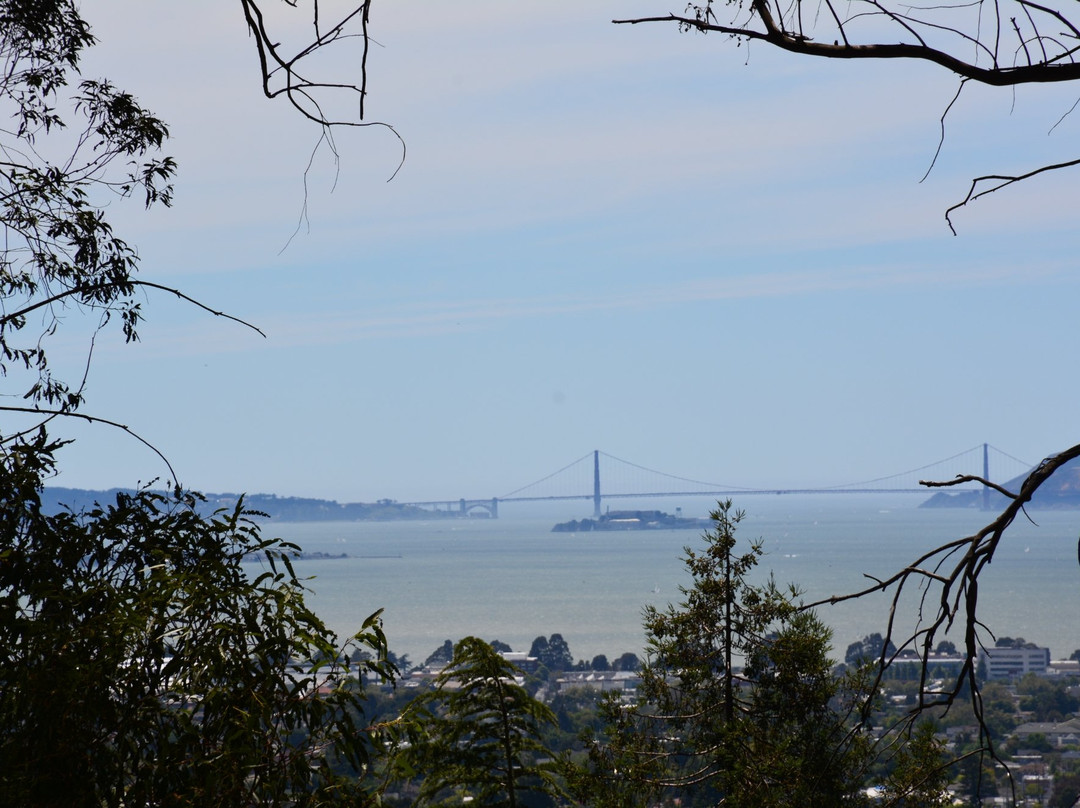Claremont Canyon Regional Preserve-伯克利必去景点