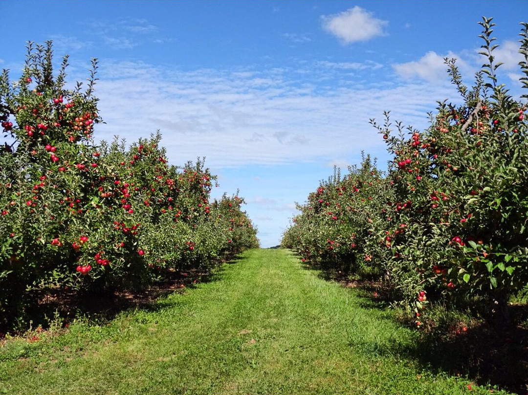 Rogers Orchards景点图片