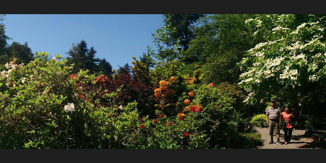 Soos Creek Botanical Garden景点图片