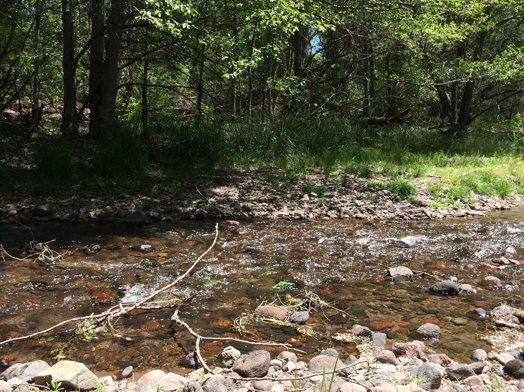 Mimbres River Preserve-Silver City必去景点