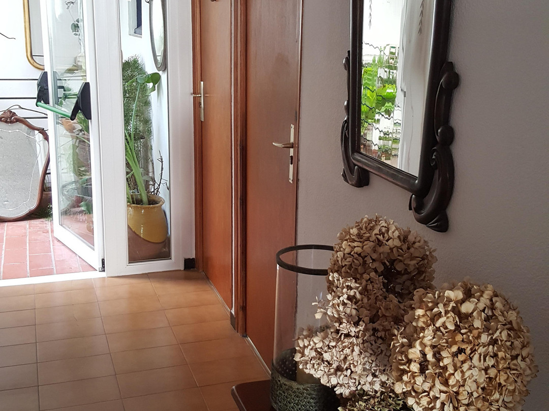 Hostal Residencia Catalina主图