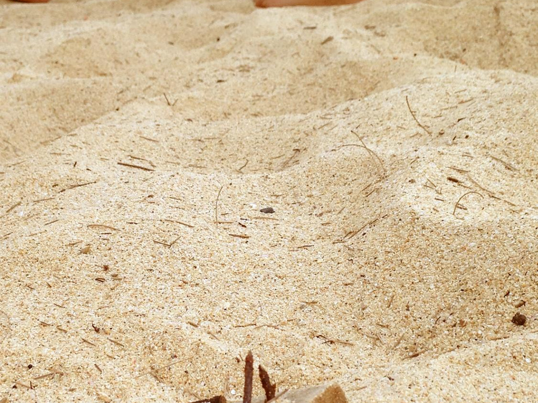 Clean The Beach Boot Camp-拉威必去景点