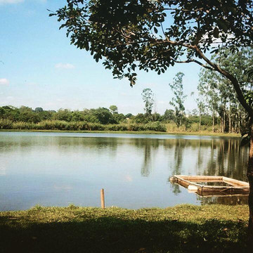 Restaurante Pesqueiro Do Rolinha主图