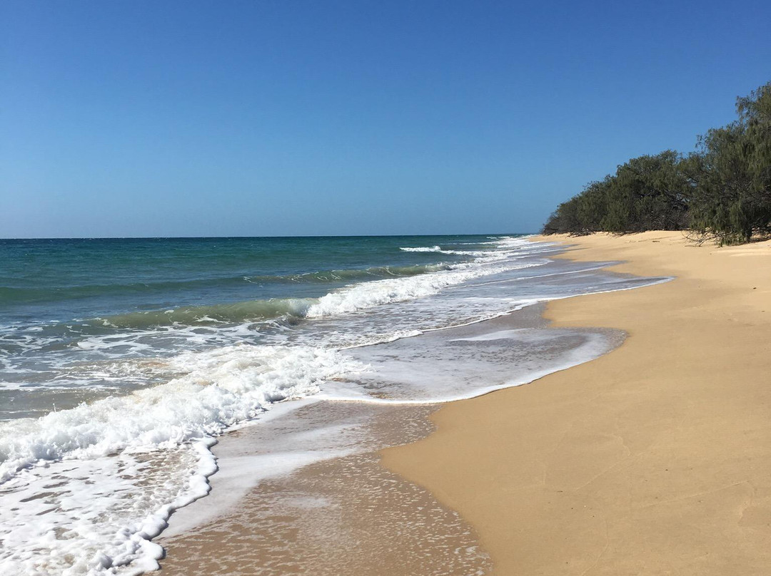 Burrum Coast National Park景点图片