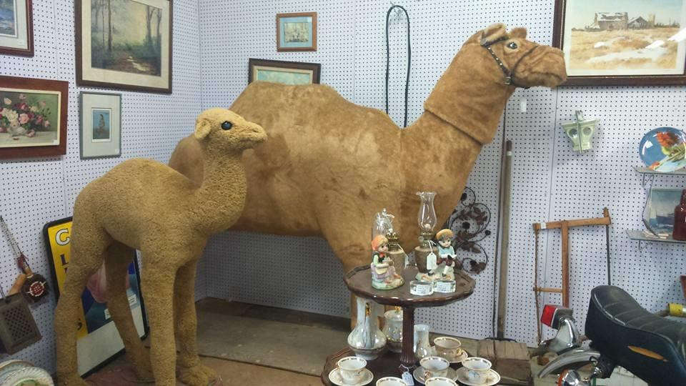 One Of A Kind Antique Mall景点图片