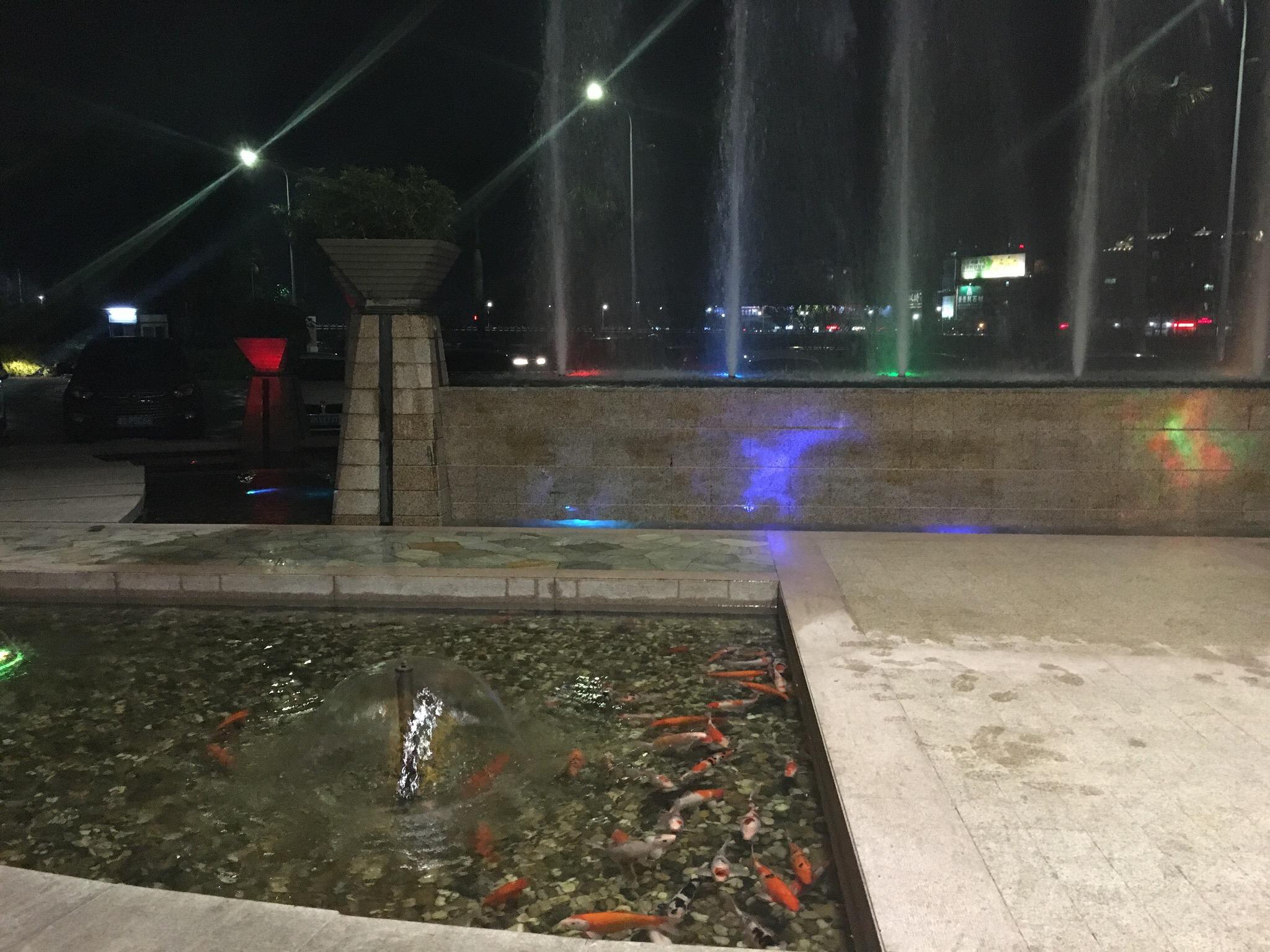 金沙湾国际大酒店-官方