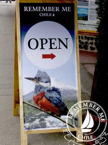 Remember Me Chile-巴拉斯港必去景点