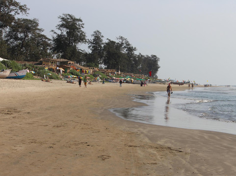 Cabo Wabo Beach Lodge主图