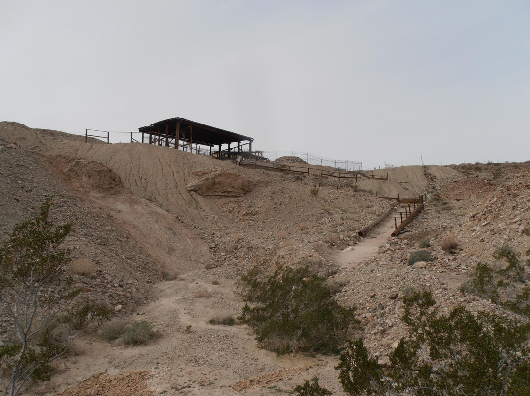Calico Early Man Site-Yermo必去景点