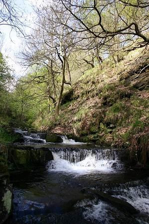 Gorpley Clough  Local Nature Reserve景点图片