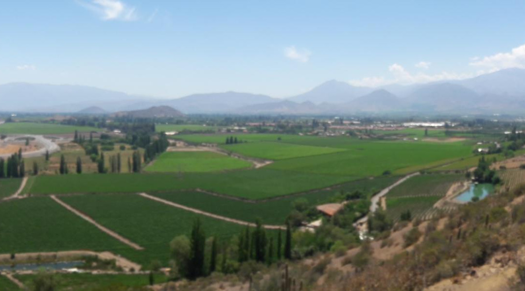 Parque Arqueológico Paidahuén景点图片