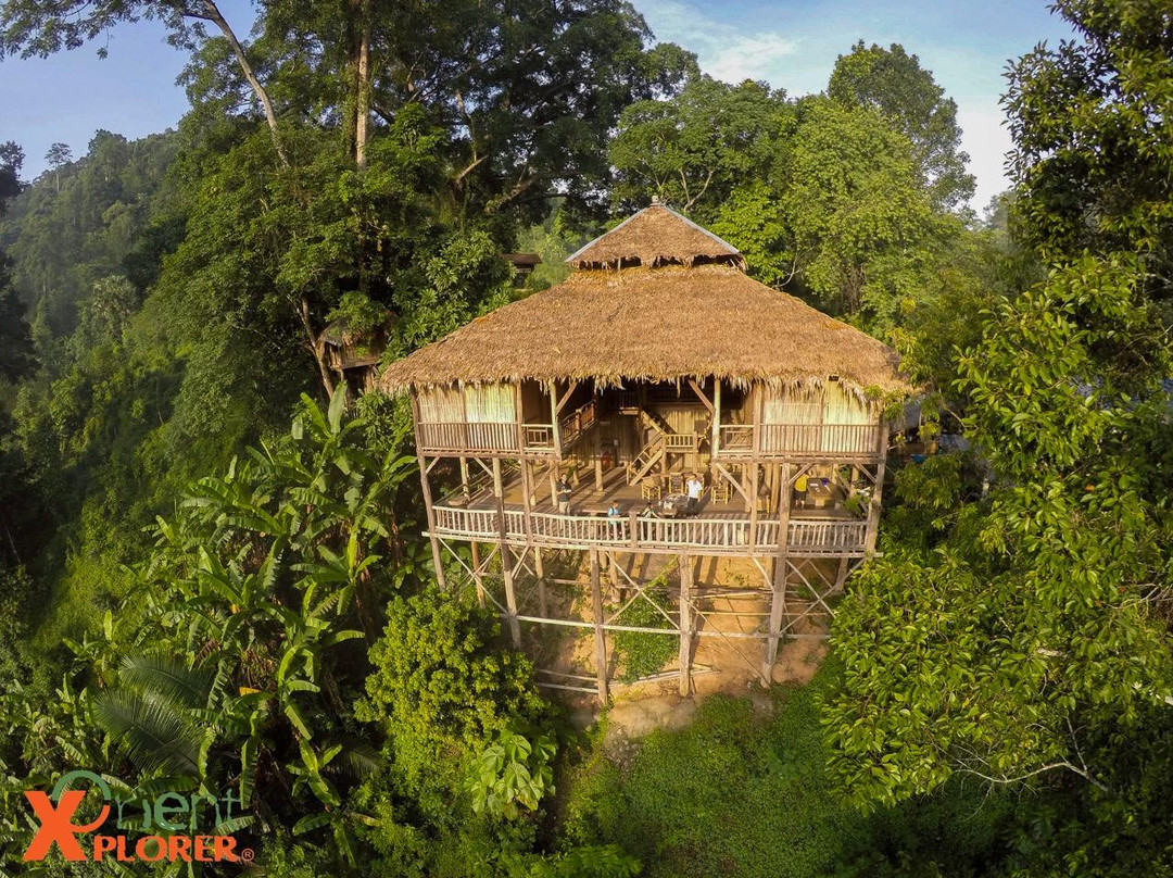 Tree House Hideaway