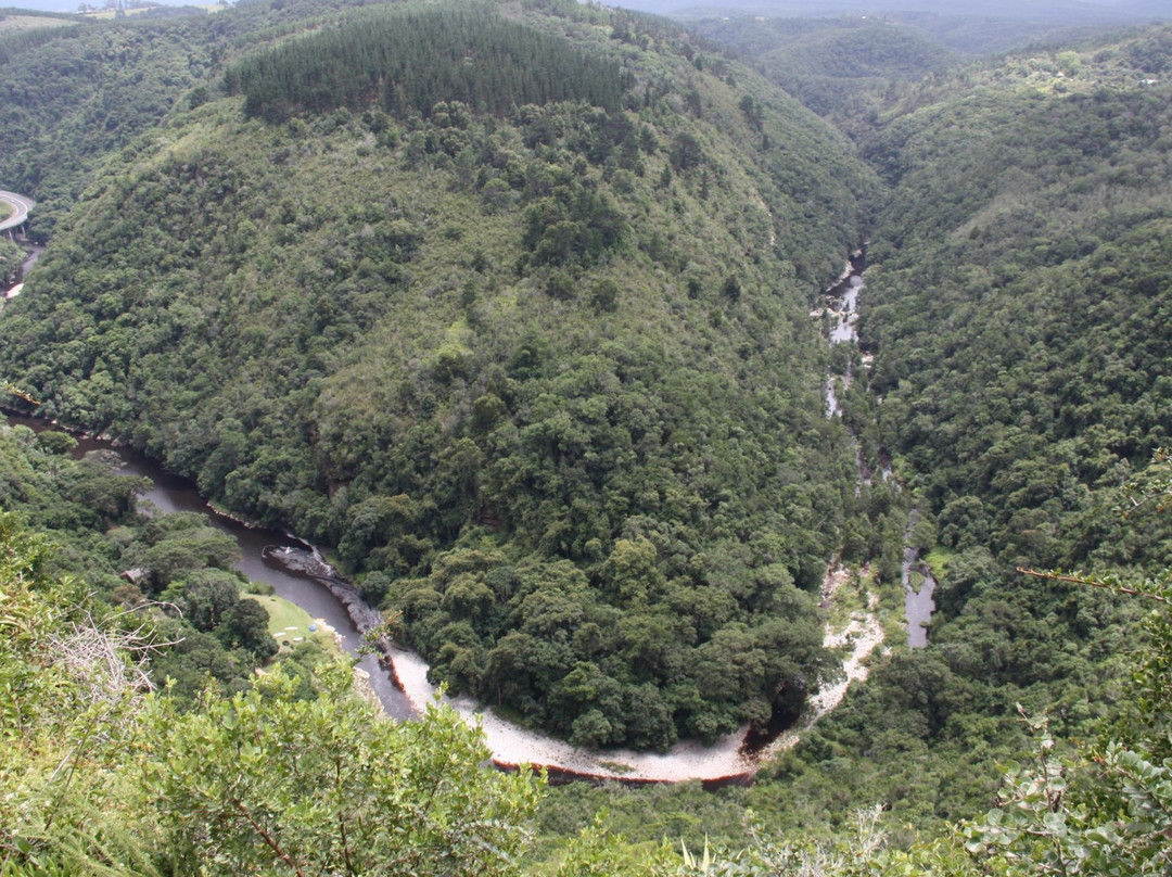 Charlo's Tours and Transfers-开普敦中心区必去景点