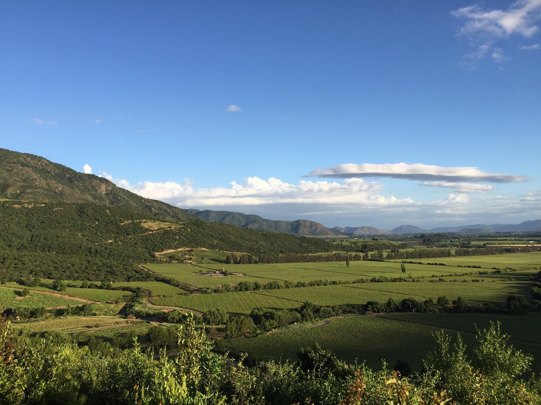 Lapostolle Residence Restaurant主图