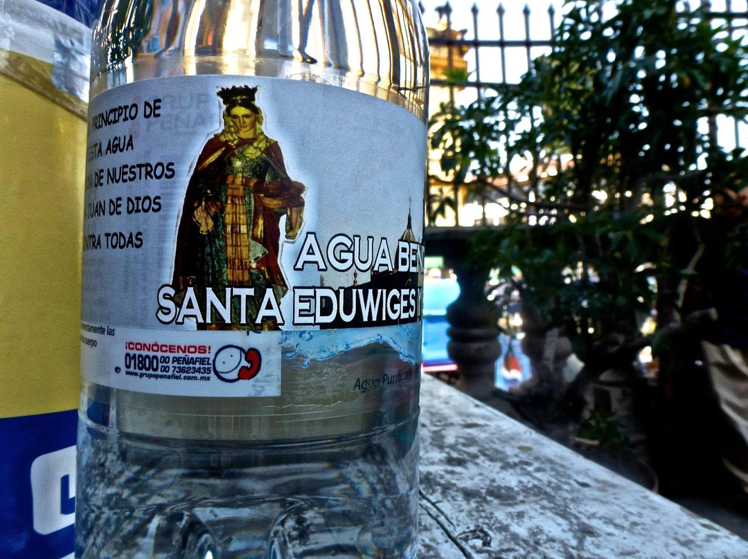 Templo de San Juan de Dios-瓜达拉哈拉必去景点