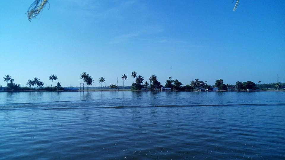 Kayamkulam Lake景点图片