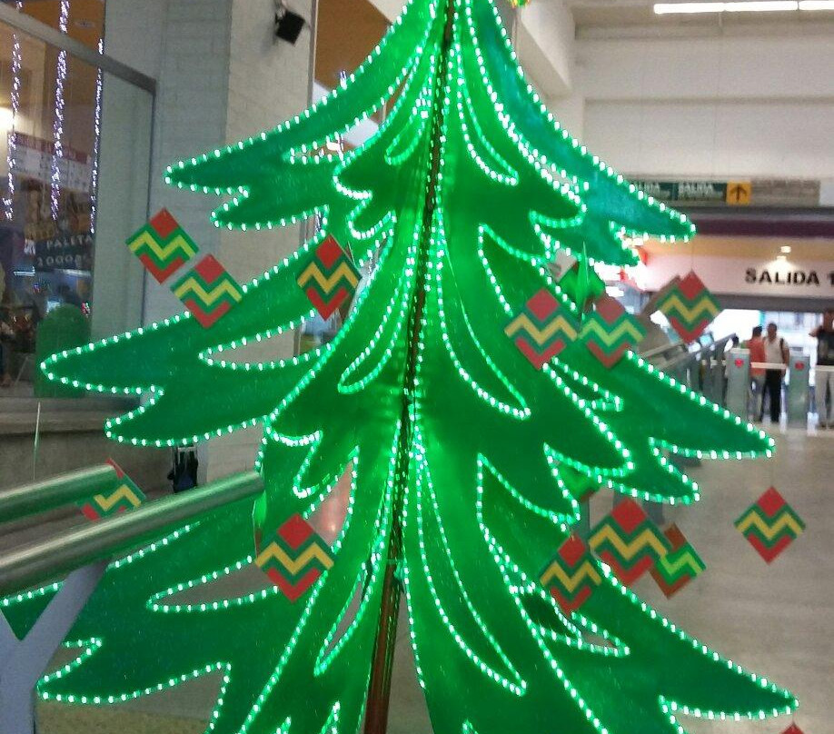 Megabus-佩雷拉必去景点