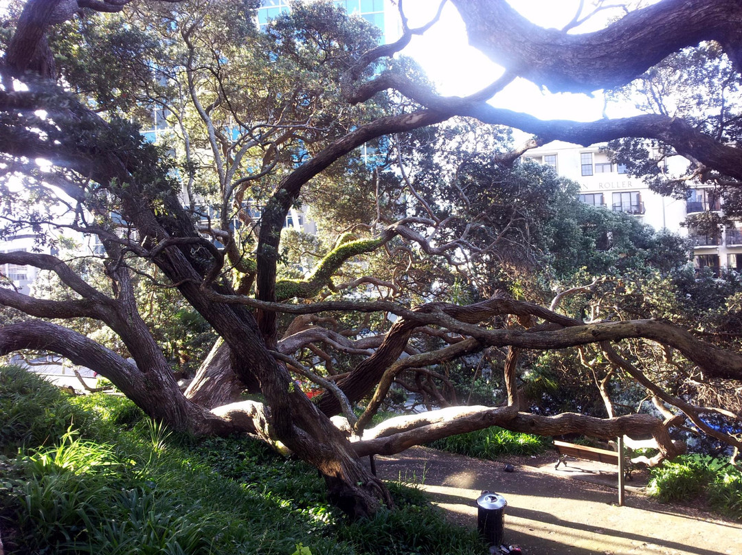 Emily Place Reserve-奥克兰中心地区必去景点