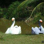 Camaratuba Hotel Fazenda主图