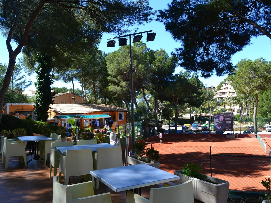 Tenis Oro-Costa de la Calma必去景点