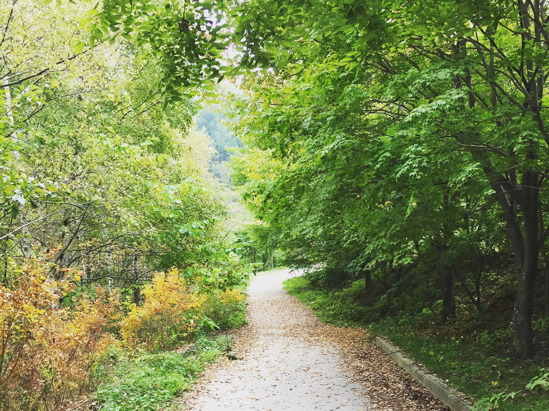Geomnyongso Pond-太白市必去景点